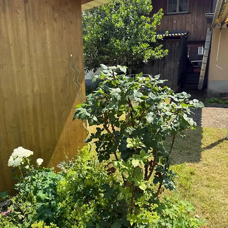 Vakantiehuis Casa Walser - Charmingstay *