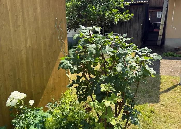 בית נופש Casa Walser - Charmingstay *