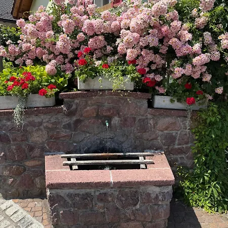 Casa Walser - Charmingstay Dom wakacyjny Quarten